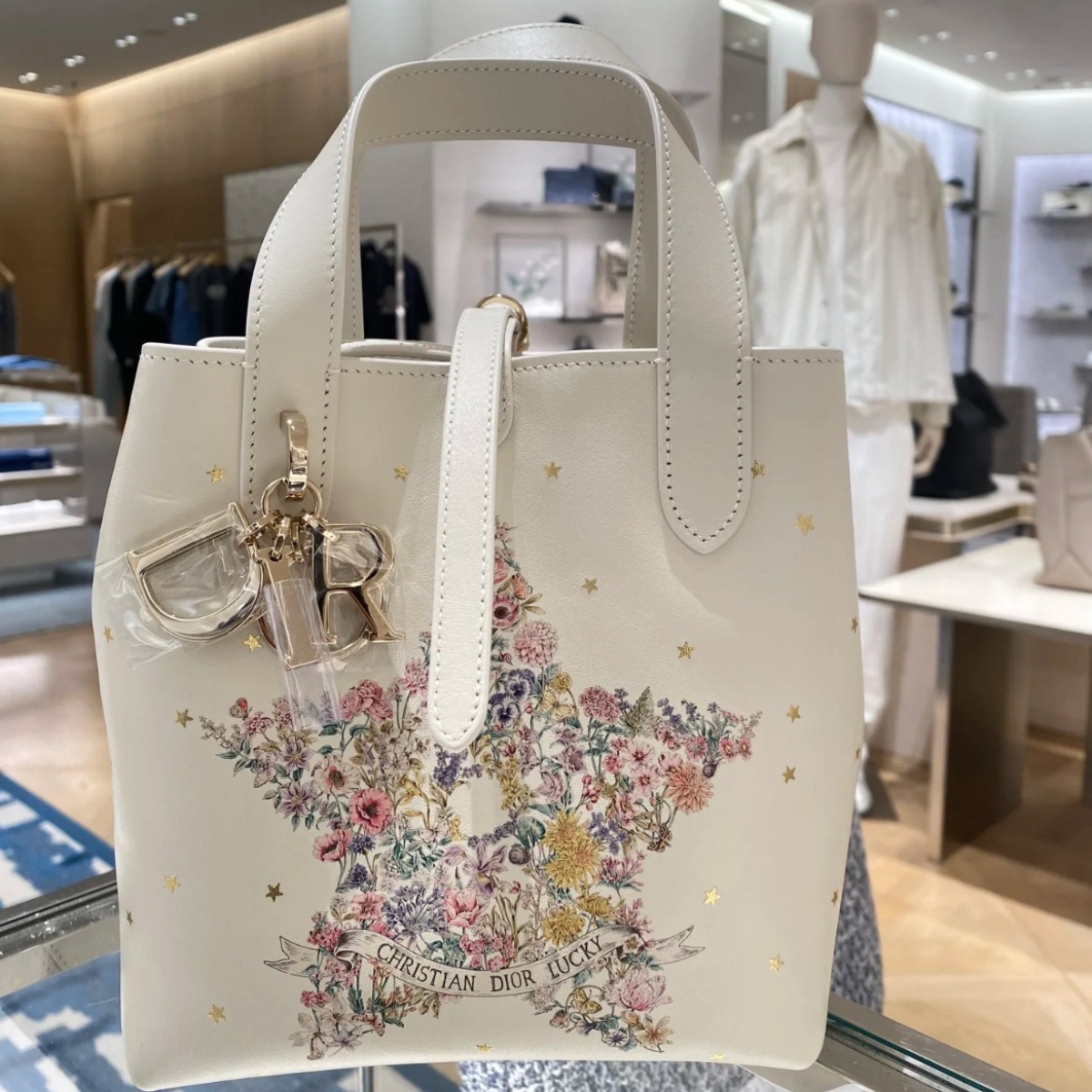 VERTICAL SMALL DIOR LUCKY DIOR TOUJOURS TOTE BAG