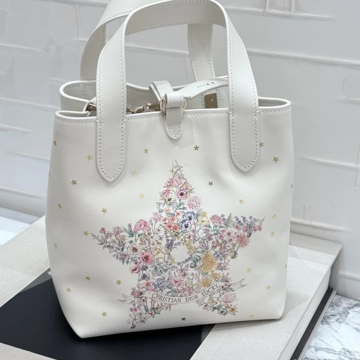 VERTICAL SMALL DIOR LUCKY DIOR TOUJOURS TOTE BAG